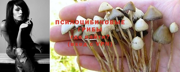 спиды Белокуриха