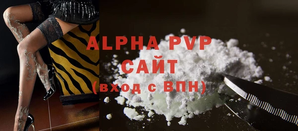 спиды Белокуриха