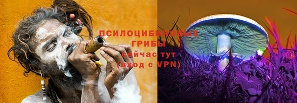 спиды Белокуриха
