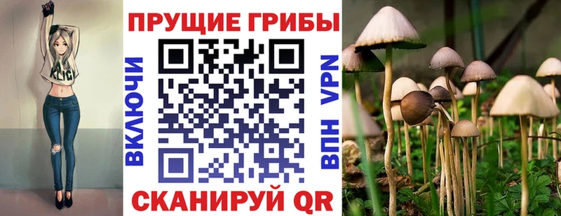 Псилоцибиновые грибы прущие грибы  нарко площадка как зайти  Ворсма  дарнет шоп 