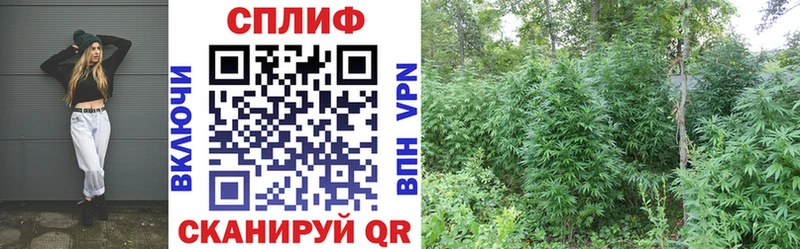 Бошки марихуана MAZAR  OMG tor  Ворсма 